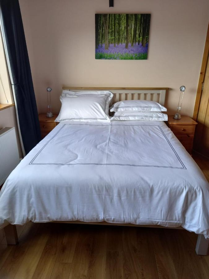 Benbulben View F91Yn96 Bed and Breakfast Sligo Exteriör bild